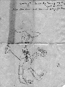 Cowboy drawn by Dan Dorrough;